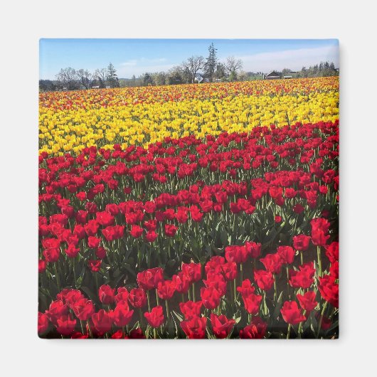 Aimant Terrain de Red & Yellow (Devant)