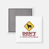 Aimant Terre (Recto/Verso)