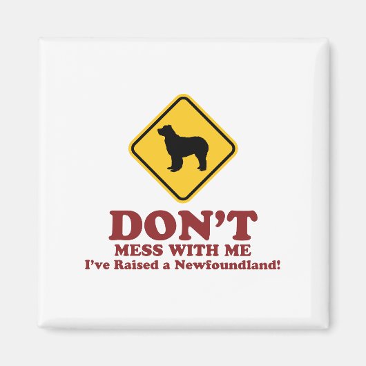 Aimant Terre (Devant)