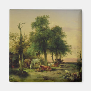 Aimant Terre de pâturage