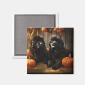 Aimant Terre-Neuve Chiot Automne Citrouille de plaisir (Recto/Verso)