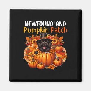 Aimant Terre-Neuve Maigre Patch Thanksgiving Citrouilles