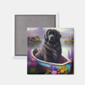 Aimant Terre-Neuve sur une pédale : une aventure Pittores (Recto/Verso)