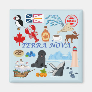 Aimant Terre-Neuve Terre-Neuve