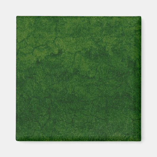 Aimant Terre verte (Devant)