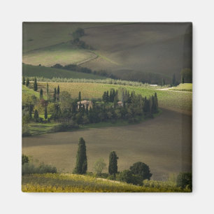 Aimant Terres agricoles autour de Montepulciano, Toscane,