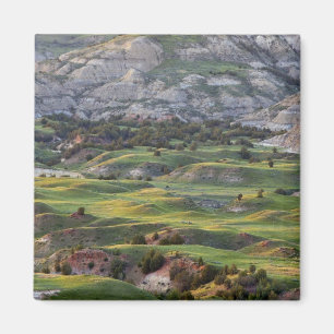 Aimant Terres incultes colorées depuis le point de vue de
