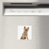 Aimant Terrier (In Situ (Lave-vaisselle))