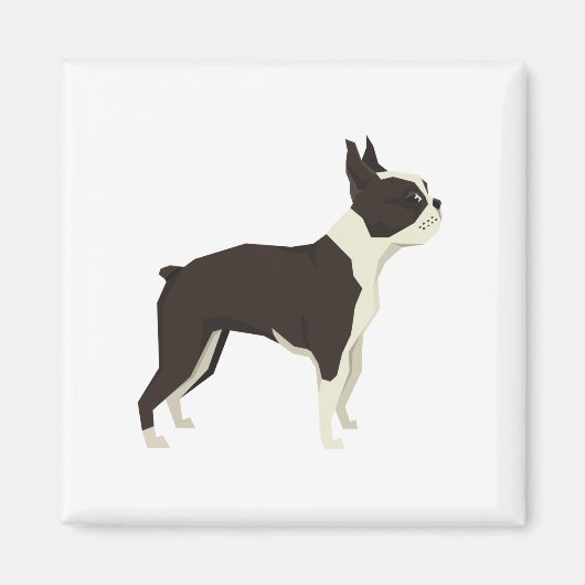 Aimant Terrier de Boston (Devant)