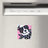 AIMANT TERRIER DE BOSTON (In Situ (Lave-vaisselle))
