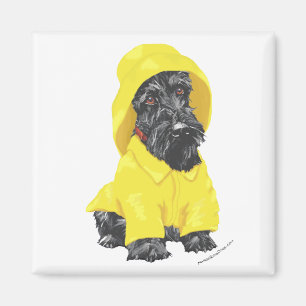 Aimant Térrier Écossais Avril Pluie