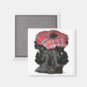 Aimant Terrier écossais dans un Tam-o-Shanter (Recto/Verso)