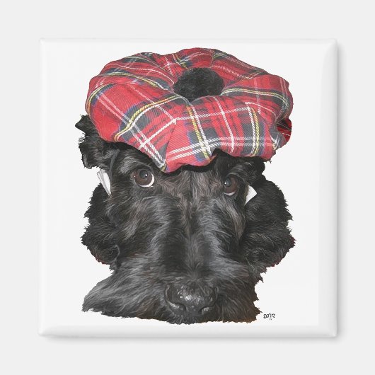 Aimant Terrier écossais dans un Tam-o-Shanter (Devant)