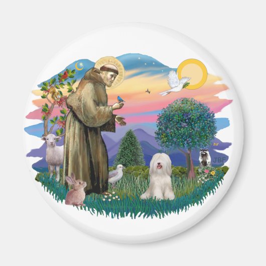 Aimant Terrier tibétain (blanc) (Devant)