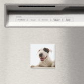 Aimant Terriers de taureaux (In Situ (Lave-vaisselle))