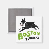 Aimant Tervueren de Boston (Recto/Verso)