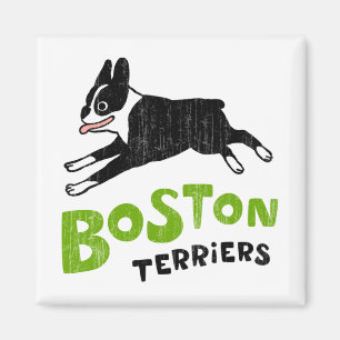 Aimant Tervueren de Boston