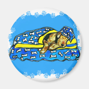 Aimant Tervueren dormant