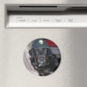 AIMANT TESLA LE CHIEN ALIEN (In Situ (Lave-vaisselle))