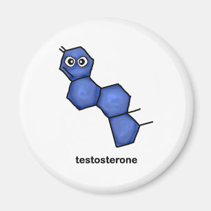 Aimant Testostérone