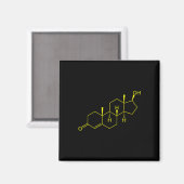Aimant Testostérone Molecule Biologie Science Constructio (Recto/Verso)