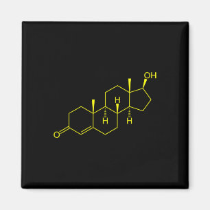 Aimant Testostérone Molecule Biologie Science Constructio