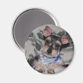 Aimant Tête coccinée (Recto/Verso)