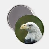 aimant tête d'aigle américain (Recto/Verso)