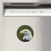 aimant tête d'aigle américain (In Situ (Lave-vaisselle))