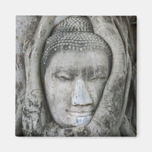 Aimant Tête de Bouddha en grès entourée d'un arbre