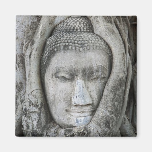 Aimant Tête de Bouddha en grès entourée d'un arbre (Devant)
