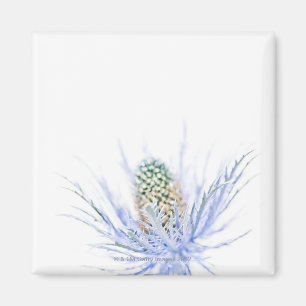 Aimant Tête de chardon dans la fin