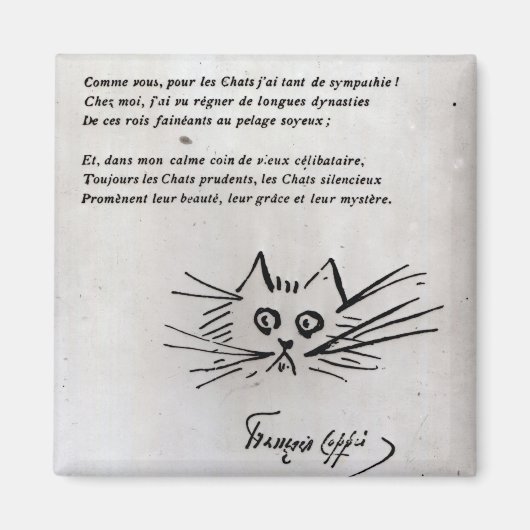 Aimant Tête de chat (Devant)