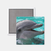 Aimant Tête de dauphin en eau aquamarine (Recto/Verso)