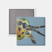 Aimant Tête de mouche de cerf (Recto/Verso)