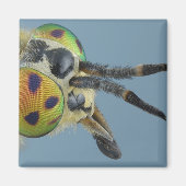 Aimant Tête de mouche de cerf (Devant)