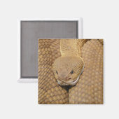 Aimant Tête de serpent à sonnette (Recto/Verso)
