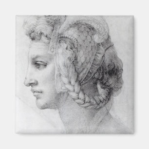 Aimant Tête idéale d'une femme, c.1525-28