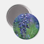 Aimant Texas Bluebonnet-2-Best (Recto/Verso)