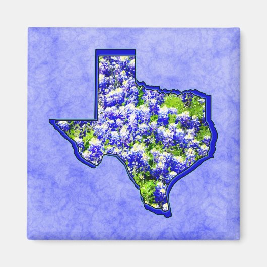 AIMANT TEXAS BLUEBONNETS (Devant)