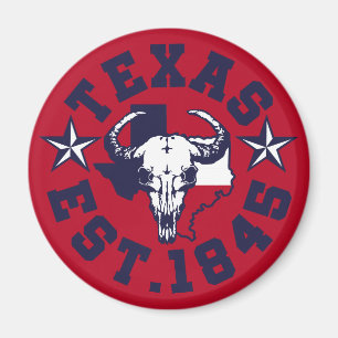 Aimant Texas vintage