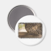 Aimant Textures en bois Cabine (Recto/Verso)