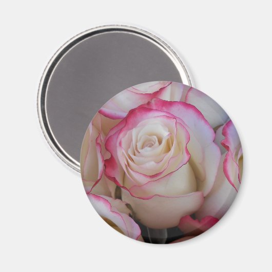 Aimant Thamar (Recto/Verso)