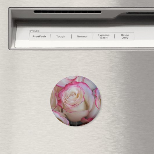 Aimant Thamar (In Situ (Lave-vaisselle))