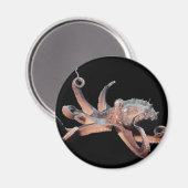 Aimant Thang Octopus-Wild (Recto/Verso)