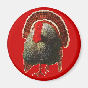 Aimant Thanksgiving vintage Turquie