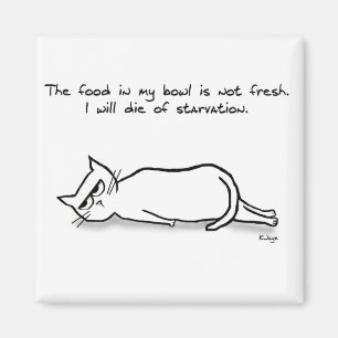 Aimant The Cat Demands Fresh Food - Funny Cat