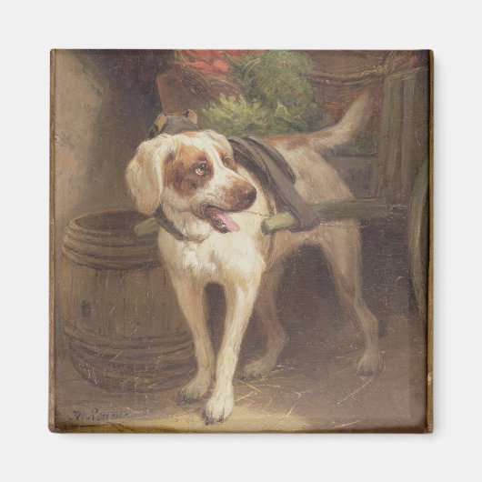 Aimant The Grocer's Dog (Devant)