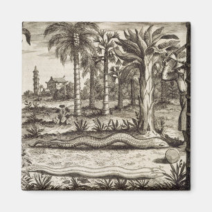 Aimant The Stone Snake, from 'China Illustrated' by Athan