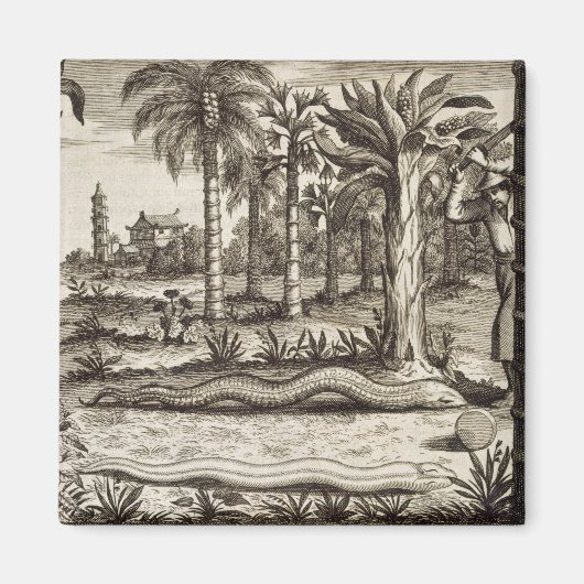 Aimant The Stone Snake, from 'China Illustrated' by Athan (Devant)